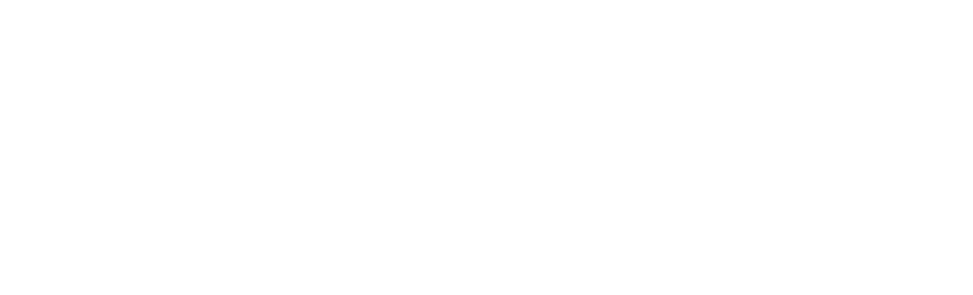 Logo (light PNG)